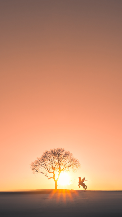 体育新闻中心深化体育视频原创内容版权保护机制，体育新闻侵权